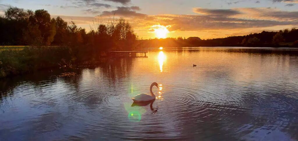 photographe-immobiler-bussy-saint-georges-10